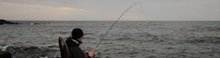 Havørred fiskeriet i efteråret 2019 var som gennemsnittet