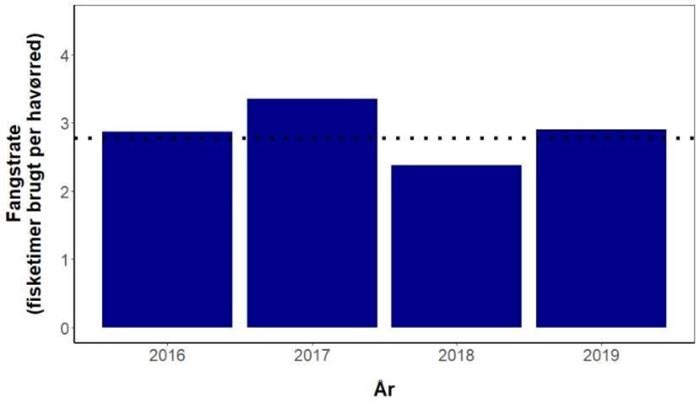Det gennemsnitlige antal fisketimer der er blevet brugt på at fange en efterårshavørred på kysten i 2016-2019. Den stiblede streg viser gennemsnittet for alle år. Efterårsfiskeriet i 2019 var tæt på gennemsnittet.