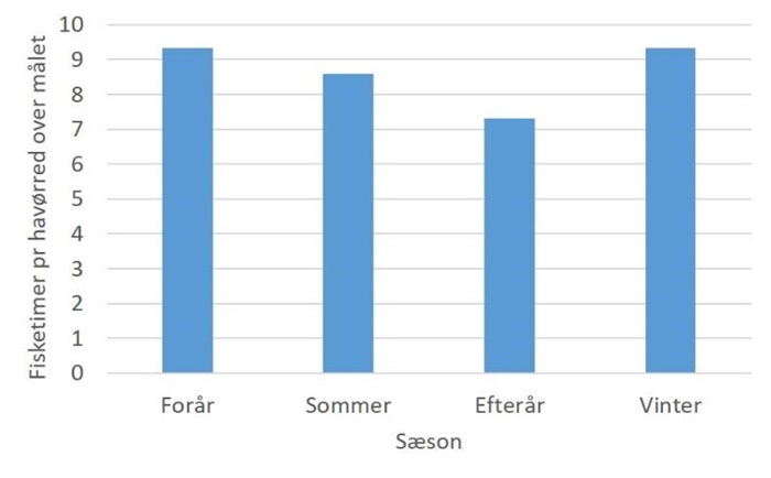 Der skal bruges færre fisketimer om efteråret på at fange en havørred over målet.