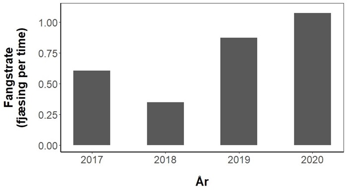 Den gennemsnitlige fangstrate for fjæsing indrapporteret til Fangstjournalen i 2017-2020.