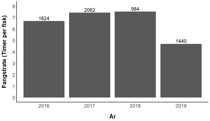 Den gennemsnitlige tid der er brugt på at fange en havørred i perioden 2016 til 2019. Figurerne er baseret på ca. 6000 timers sommerfiskeri (juni, juli og august) og ca. 1000 indrapporterede havørreder. Dette fordeler sig over 2081 fisketure foretaget af 306 brugere i mere end 50 forskellige vandløb. Tallene over søjlerne angiver antal fisketimer pr år.