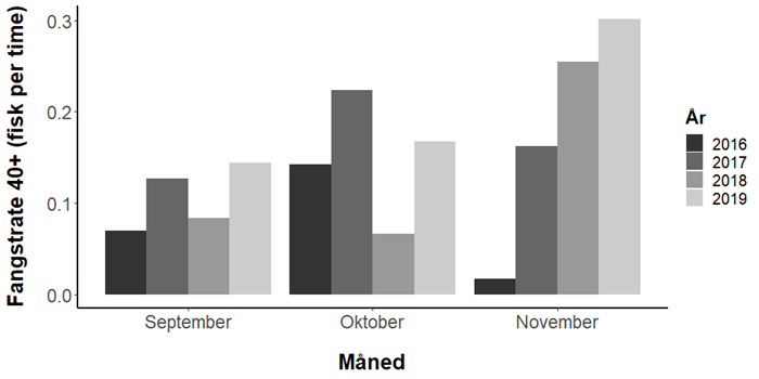 Den gennemsnitlige fangstrate af havørred over mål i danske åer om efteråret fordelt på år og måned. 
