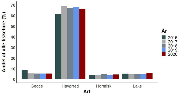 Oversigt over hvad brugerne i Fangstjournalen især fisker efter og hvordan det har varieret i Fangstjournalens fem leveår 2016-2020. Havørred er den suverænt mest populære art.