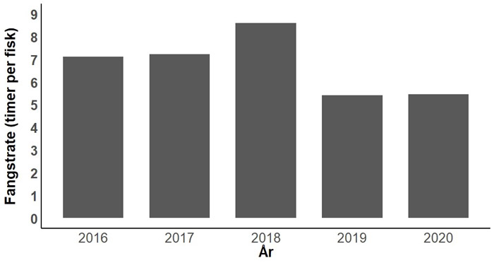 Åfiskeri efter havørred i perioden 2016-2020
