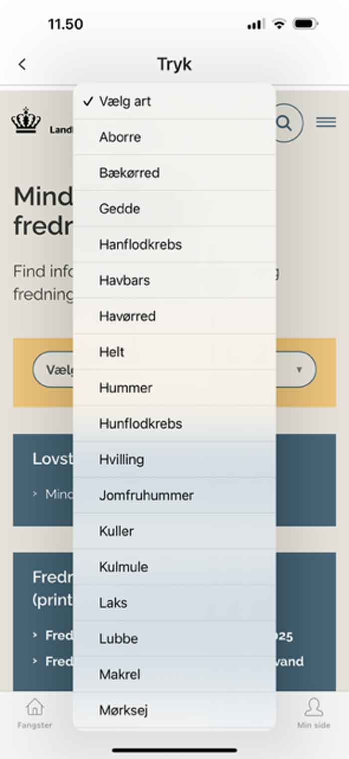 Vælg fiskeart og herefter kommer der info om mindstemål og fredningstid for arten 