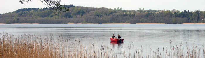 Forbedring_af_soeens_miljoetilstand_er_vigtig_