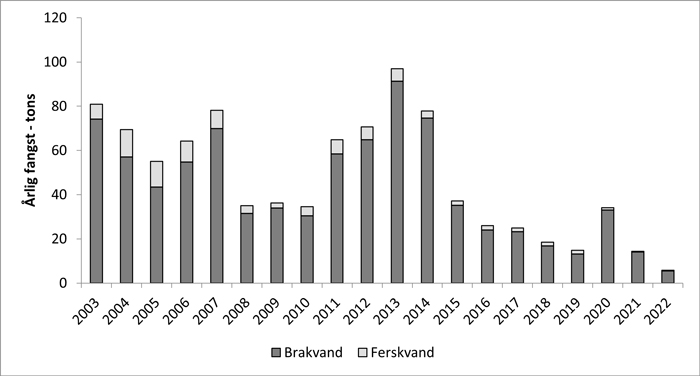 Aborre fangststatistik