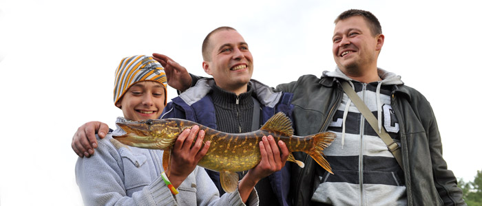 Gedden_er_en_populaer_sports__og_spisefisk_