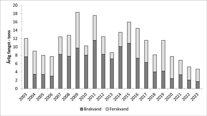 Gedde fangststatistik