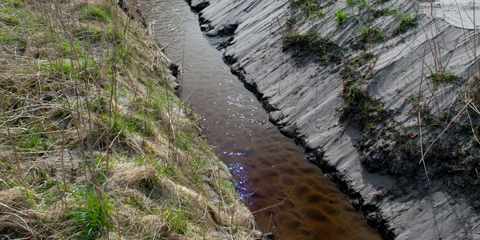 Dyrkningsfri bræmmer er ikke overholdt og skaber unaturlig stor sandvandring i vandløbet