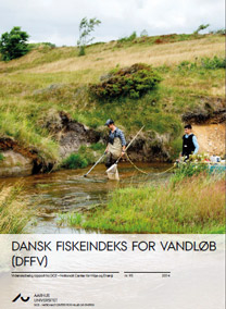 Download rapporten Dansk Fiskeindeks For Vandløb (DFFV)