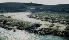Erosion bidrager til sandtransporten i vandløbene