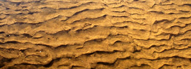 Sandet kan tildække bunden og efterlader den som en gold ørken for fisk og smådyr