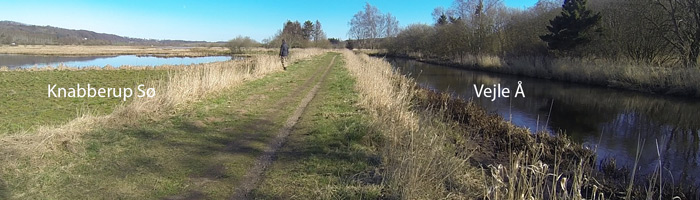 Vådområde - Knabberup Engsø er etableret ved siden af Vejle Å