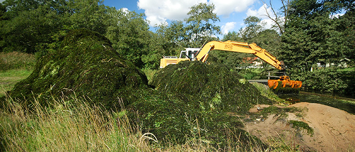 Opsamling af skårede vandplanter på en såkaldt grødeopsamlingsplads