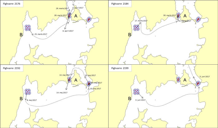 Kort over pighvarrer ved Eskildsø