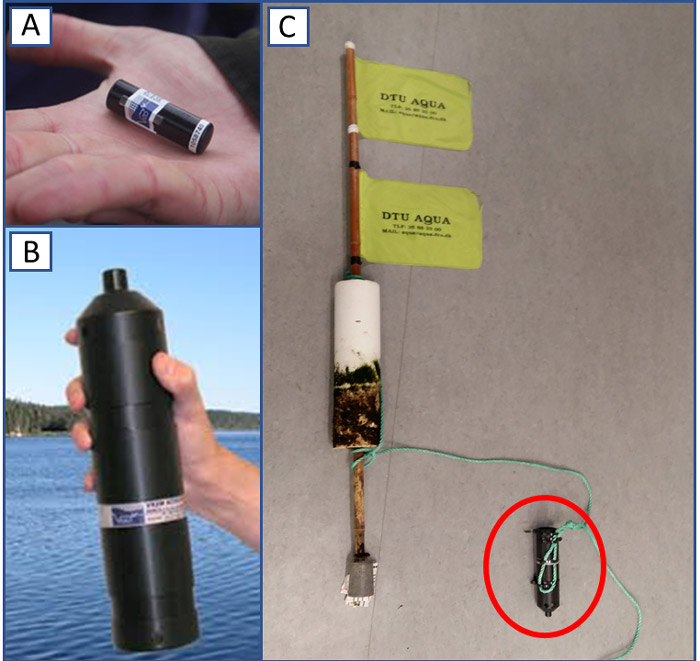 Akustisk transmitter (A). Lyttebøjerne kan opfange signalet fra fiskene i en afstand på op til ca. 500 meter (B) og (C).. 