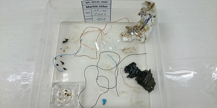 Forskellige typer affald samlet fra sildelarveundersøgelse i Nordsøen. Foto Bastian Huwer.