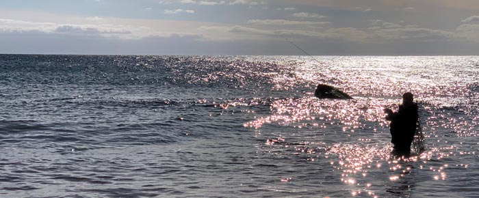 Lystfiskeri fra kysten, primært efter havørred og sæsonarter som makrel og hornfisk, er det mest dyrkede lystfiskeri i Danmark