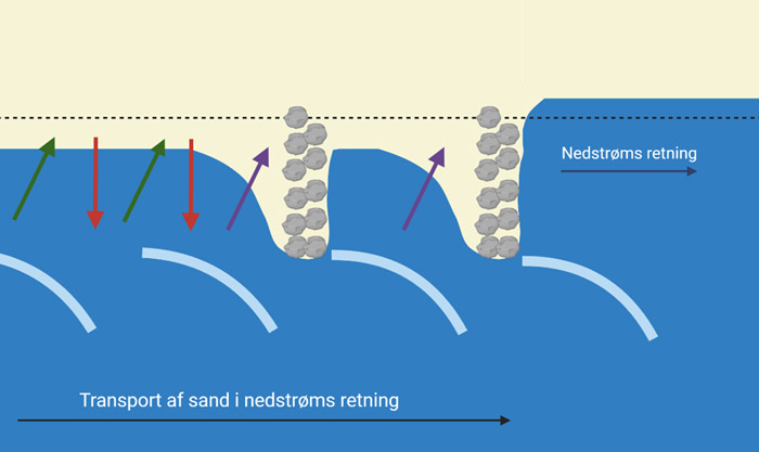 Kystbeskyttelse- transport af sand