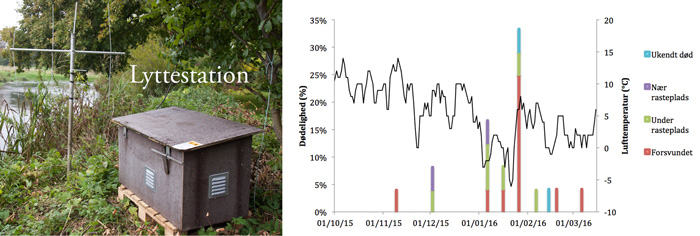 Lyttestation ved Kongeåen og figur over stallingernes skæbne sammeholdt med lufttemperatur