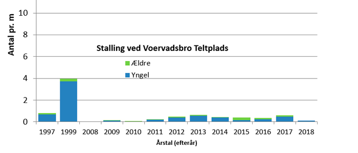 Stallingbestanden ved Voervadsbro siden 1997.