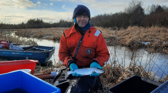 En af DTU Aquas fiskeriteknikere med en havørred fra Jordbro Å. Her er der tale om en ung, ikke-kønsmoden havørred, som er trukket op i vandløbet i vinterkulden.