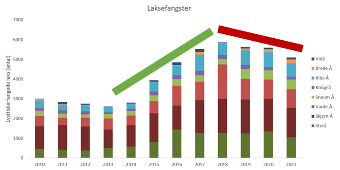 De samlede fangster af laks i perioden 2010-2021