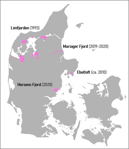 Kort over Fiskeplejens skrubbeudsætninger siden 1993