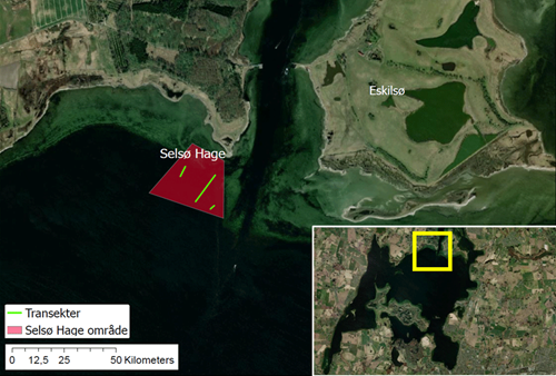 Kort over Selsø Hage. Kort: Marie Hartlev Frausing