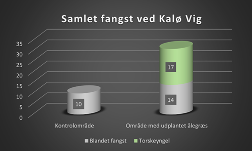 Overblik over fangst af torskeyngel og bifangst 