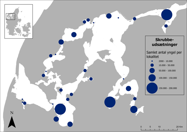 Det samlede antal skrubbeyngel udsat i Limfjorden i 2000-2022.