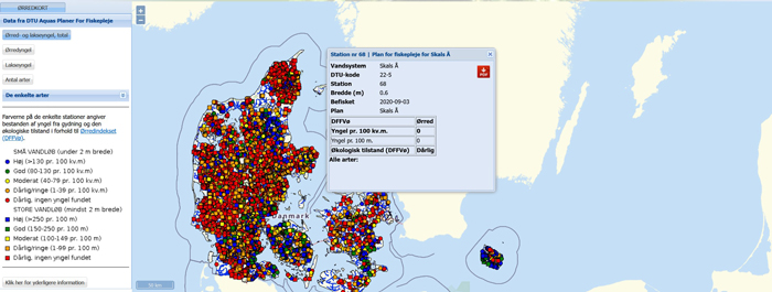Ørredkortet viser bestanden af ørred i danske vandløb