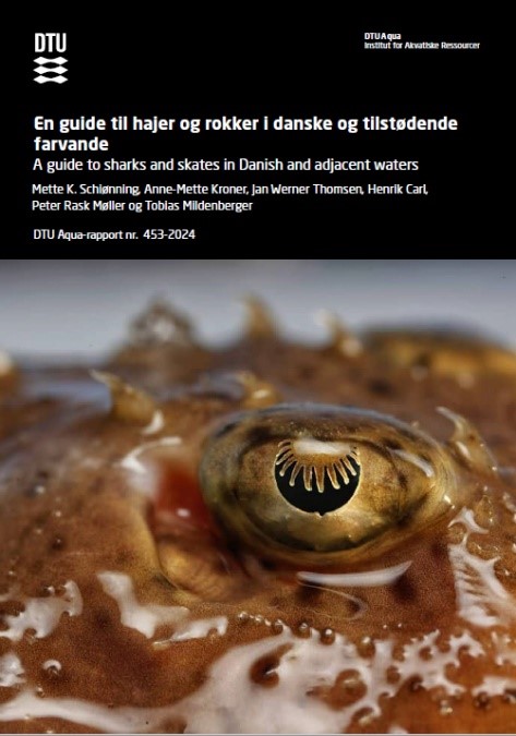 Hajguide og rokkeguide - download guiden
