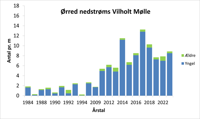 Diagrammet viser ørredbestanden på en 600 m lang strækning nedstrøms Vilholt Mølle