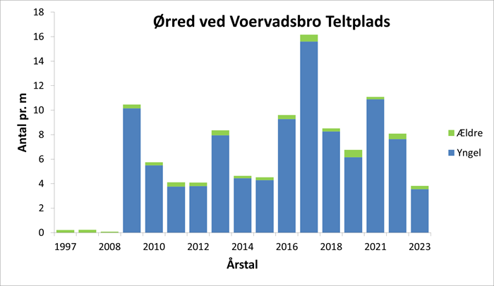 Diagrammet viser ørredbestanden på en 160 m lang strækning ved Voervadsbro teltplads