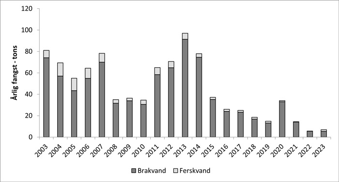 Aborre fangststatistik