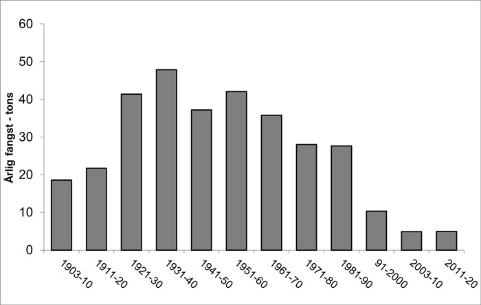 Gedde fangststatistik